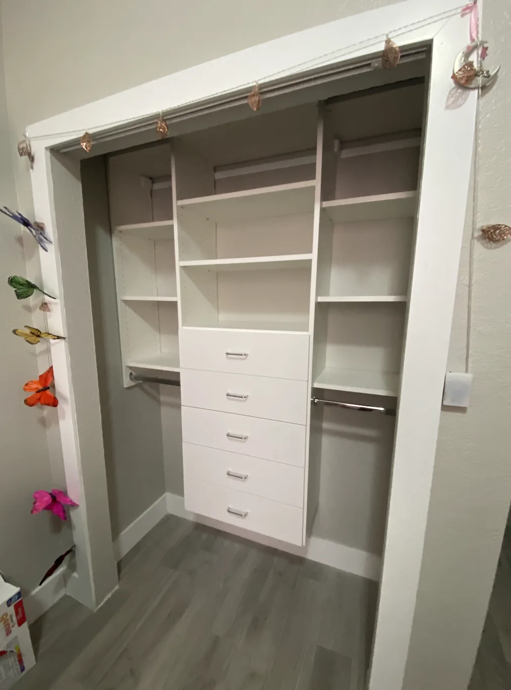 Custom Reach-In Closet